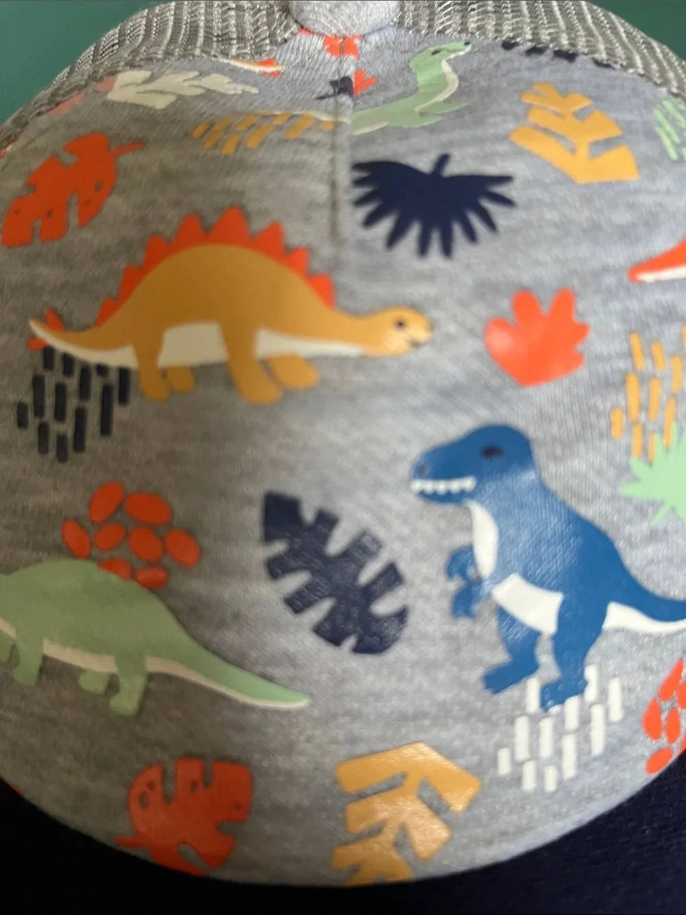 No Brand boy’s dinosaur ball cap.